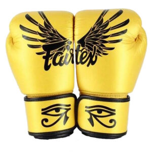 Gants de Boxe d’entrainement FAIRTEX FXV1 Falcon – Offre partenaire club -10%